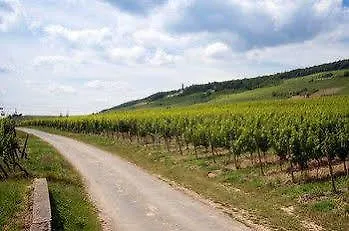 Отель Hoehn 3*
